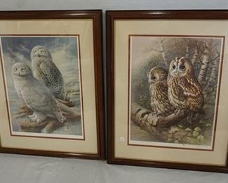 1106 2 RAYMOND WATSON OWL PRINTS
