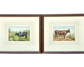 Pair Antique French Vache Lithographs