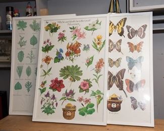 Smokey  the Bear Butterfly, Flower and Foliage Wrapped Posters
