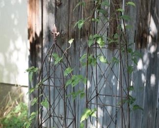 Free Standing Trellis'