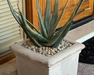 Cast Stone Square Plater/Pot w/ Agave 16 x18x18in HxWxD 19630