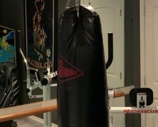 Century Punching/Training/Heavy Bag Bag: 43in Long x 12in Diameter 19588