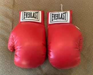 Jumbo Everlast Boxing Gloves 7x14x21 HxWxD GD122