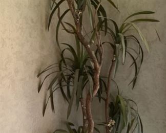 Faux Plant 67 84in H x 16in diameter 19567