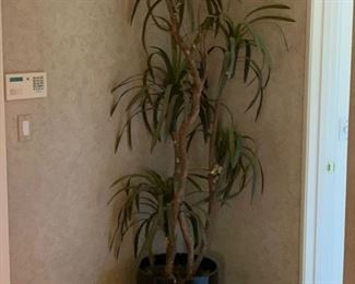 Faux Plant 67 84in H x 16in diameter 19567