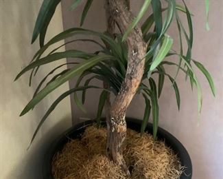 Huge Faux Palm Tree 108in H x 23in Diameter 19557