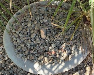 #2 Sm Bowl Concrete Pot 8in H x 21in Diameter 19550