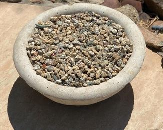 #1 Sm Bowl Concrete Pot 8in H x 21in Diameter 19548