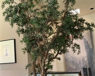 Huge Indoor Faux Plant 124in H 30in Diameter pot 19507