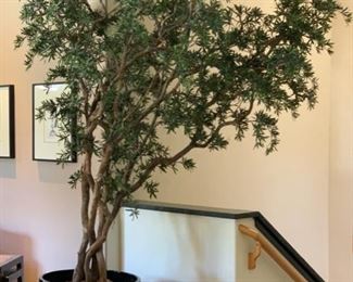 Huge Indoor Faux Plant 124in H 30in Diameter pot 19507