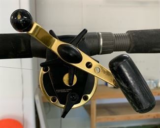 #2 Daiwa Sealine-X Fishing Pole/Reel	80in Long	