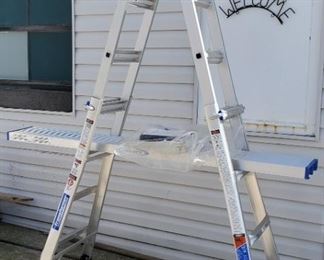 Werner Transformer Ladder System