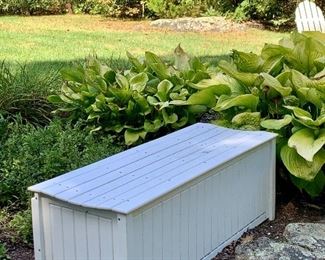 Item 220:  All Weather Storage Box- super heavy - 46.75"l x 18"w x 17.5"h:  $150