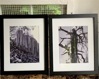 Item 405:  (2) Photographs - 12.5" x 15.5":  $65 for pair