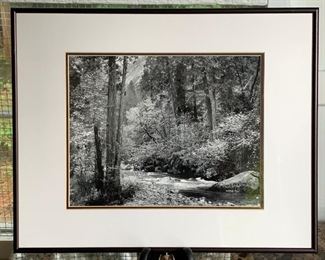 Item 467:  Photograph - 20.25" x 16.25":  $85