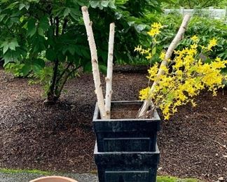 Item 460:  (4) Restoration Hardware planters and terracotta planter:   $160 for all                                                                                                                       Planters - 12"l x 12.75"w x 20"h