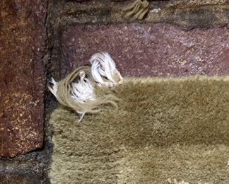 Small issue here on corner.