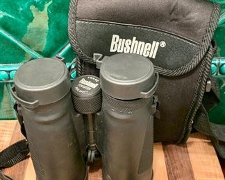 Bushnell binoculars:  $50