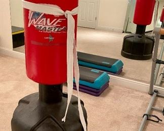 Century wave master punching bag