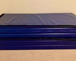 Judo gym mats MMA mats