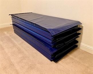 Gym mats