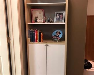 Tall bookcase/cabinet