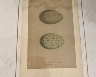 These pieces are available during on-site sale Saturday unless featured in their own photo