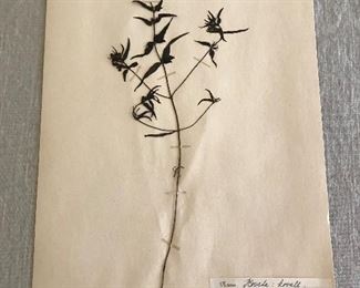 These pieces are available during on-site sale Saturday unless featured in their own photo