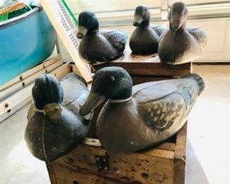 Duck decoys