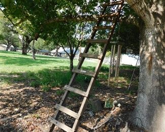 old wooden ladder