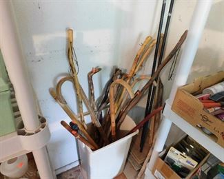 walking sticks