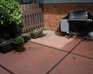 Weber Grill-needs love