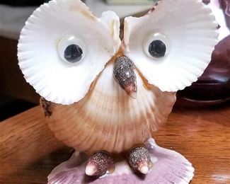 Shell owl