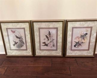 https://ctbids.com/#!/description/share/537365 Elegant Hummingbird Prints. Three elegantly framed prints of hummingbirds. Gold toned frames measure 18'' x 15''