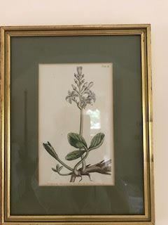 19th c. hand colored framed print