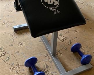 86. TDS Sit Up Bench