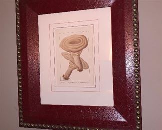 Lithographs, early 20th Century of mushrooms - 15"x13" set of 6 - Price $1,200.00