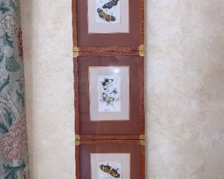 Set of 6 Butterfly Etchings by Jardine circa 1830 - Price for set $1,800