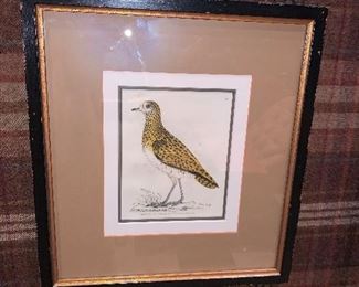 Set of 6 Bird Art - Price for set $1,200