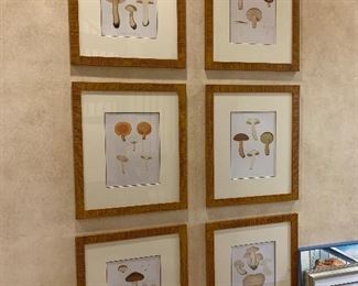 Mushroom engravings, set of 6 modern reproductions - 21"x17" - Price for set $1,200