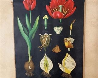 Whimsical botanical "teachers aid"scroll, hand painted circa 1910 - Price $250