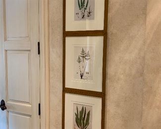 Botanical lithographs set of 6 - Price $1,200