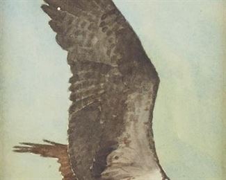 Lot 25: Noel L. Dunn "Falcon" Watercolor