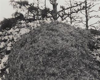 Lot 192: Lee Friedlander "Tokyo" Photograph