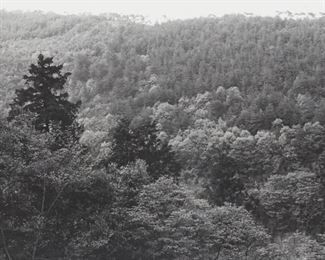 Lot 193: Lee Friedlander "Kyoto" Photograph