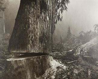 Lot 199: Larry Fink "Loggers" Photograph