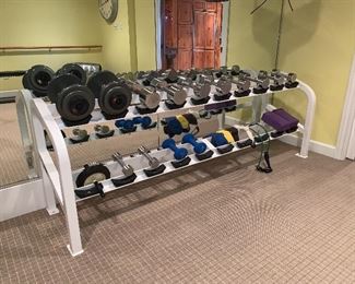 Free Weights 	7.5ft long x 2.5ft tall 
5lb to 35lb weights $550