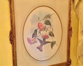 Audubon Style Print