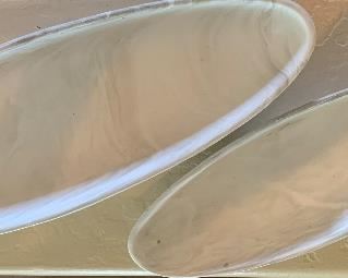 Set/2 White Wash Bowls