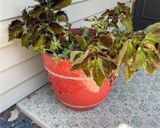 Outdoor red pot
